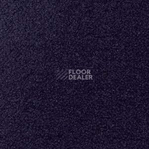 Ковролин Radici Forum Navy 2123 фото 1 | FLOORDEALER